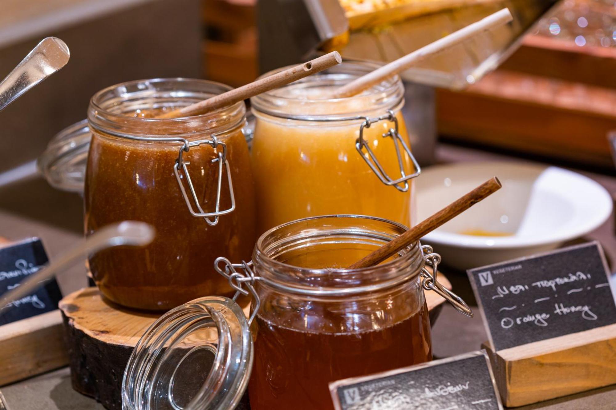 Hotel Du Lac Congress Center & Spa อิโออันนินา ภายนอก รูปภาพ Honey